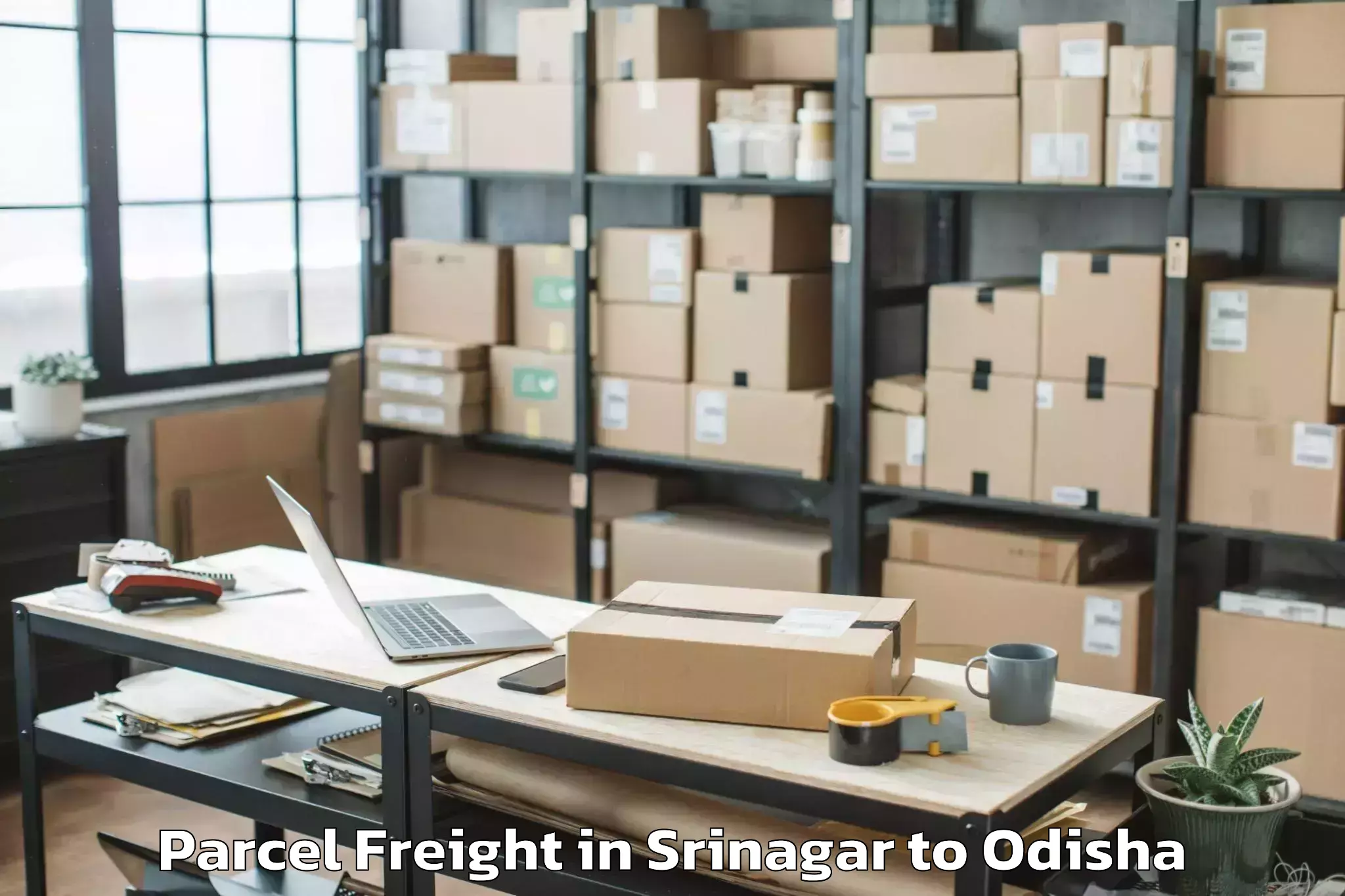 Srinagar to City Centre Mall Sambalpur Parcel Freight